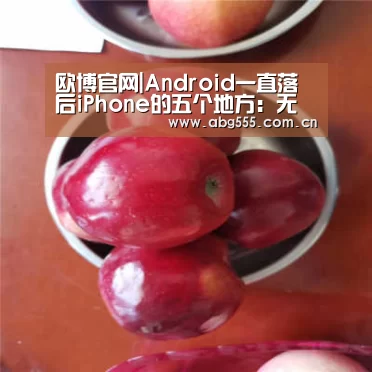 欧博官网|Android一直落后iPhone的五个地方:无言以对(图2) 欧博