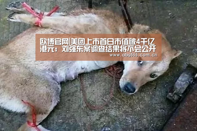 欧博官网|美团上市首日市值破4千亿港元;刘强东案调查结果将不会公开;商汤成第五大人工智能平台|雷锋早报(图3) 欧博登入