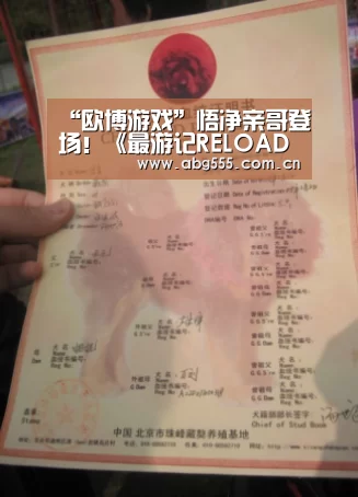 “欧博游戏”悟净亲哥登场!《最游记RELOAD BLAST》追加人设(图2) 欧博登入