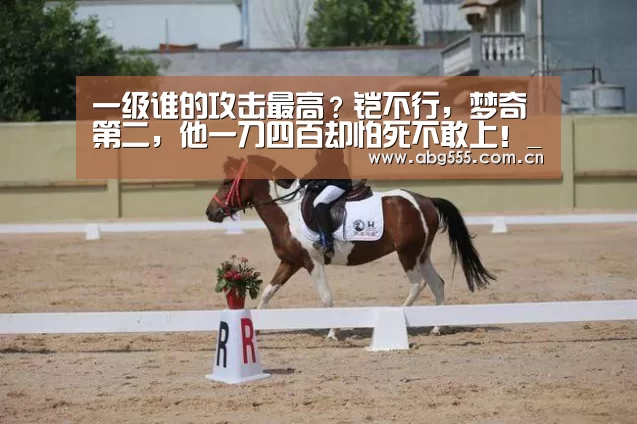 一级谁的攻击最高?铠不行,梦奇第二,他一刀四百却怕死不敢上!_欧博游戏(图1) 欧博官网